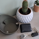 سندانة نبات مع منظم مكتبي متعدد الاستخدامات - لمسة طبيعية ومنظمة