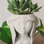 سندانة نباتات تحفه فنيه