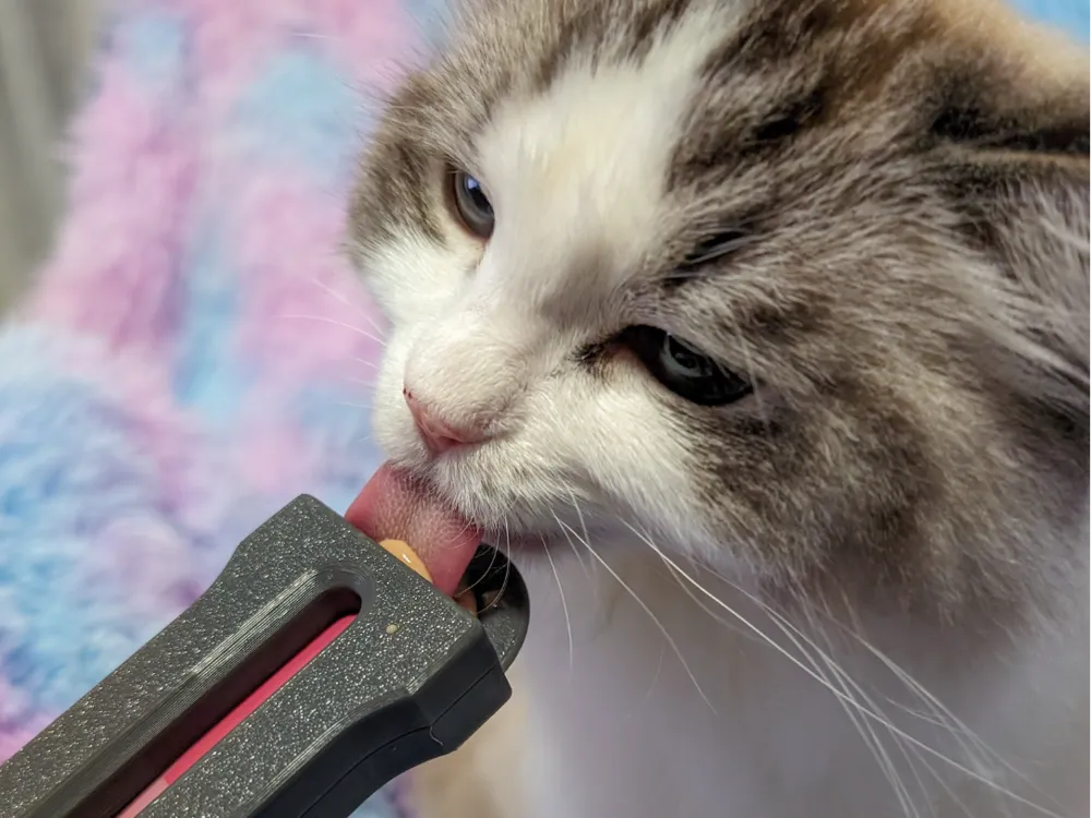 موزع المكافآت السائلة