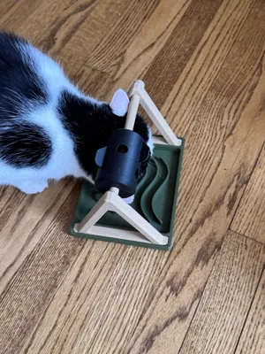 قاعده طعام وعلاج ومكافئة لقطتك - الصورة 2