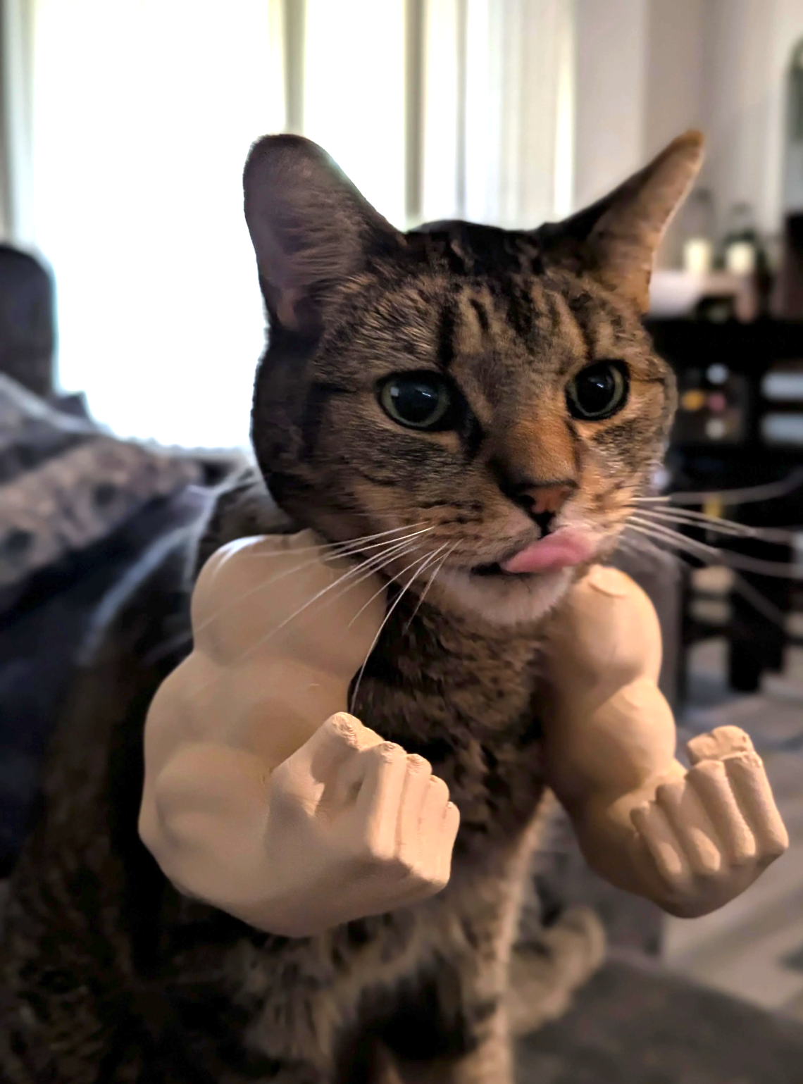 أذرع "القط العملاق" – حوّل قطتك إلى بطل كمال أجسام! - الصورة 5